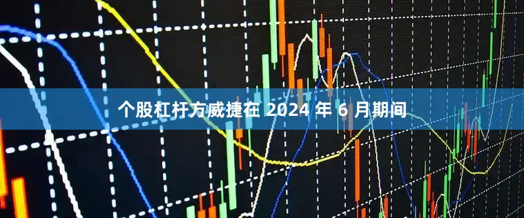 个股杠杆方威捷在 2024 年 6 月期间