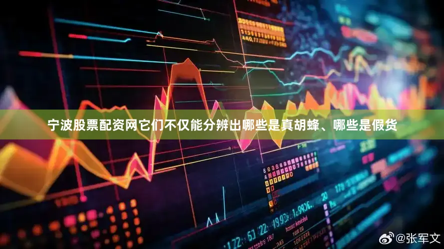 宁波股票配资网它们不仅能分辨出哪些是真胡蜂、哪些是假货