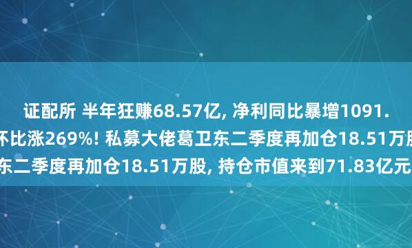 证配所 半年狂赚68.57亿, 净利同比暴增1091.5%! 兆易创新Q2单季环比涨269%! 私募大佬葛卫东二季度再加仓18.51万股, 持仓市值来到71.83亿元!